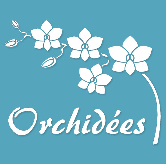 Pochoir Adhésif 30 x 20 cm Orchidées & Lettrage