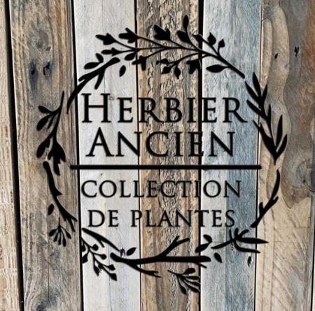 Pochoir Adhésif 20 x 20 cm Couronne Herbier Ancien